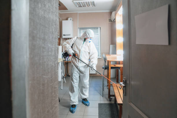 Mold Remediation for Rental Properties in Balmville, NY