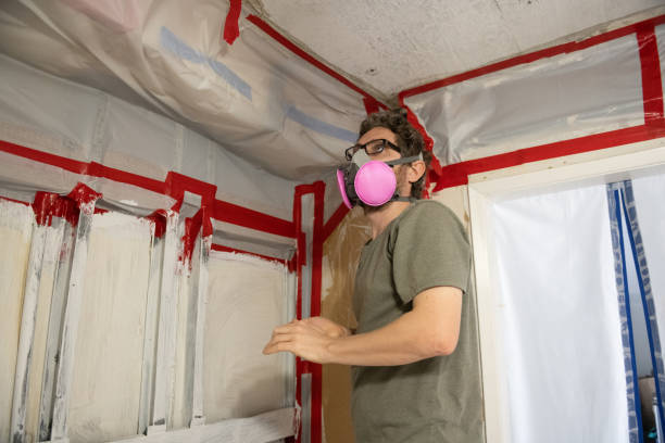 Forensic Mold Investigation in Balmville, NY